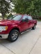 2010 Ford F-150 XL