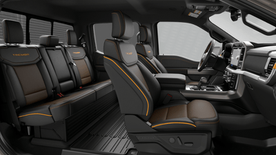 2026 Ford F-150 Tremor In-Transit