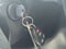 2025 Chevrolet Express Passenger 1LT