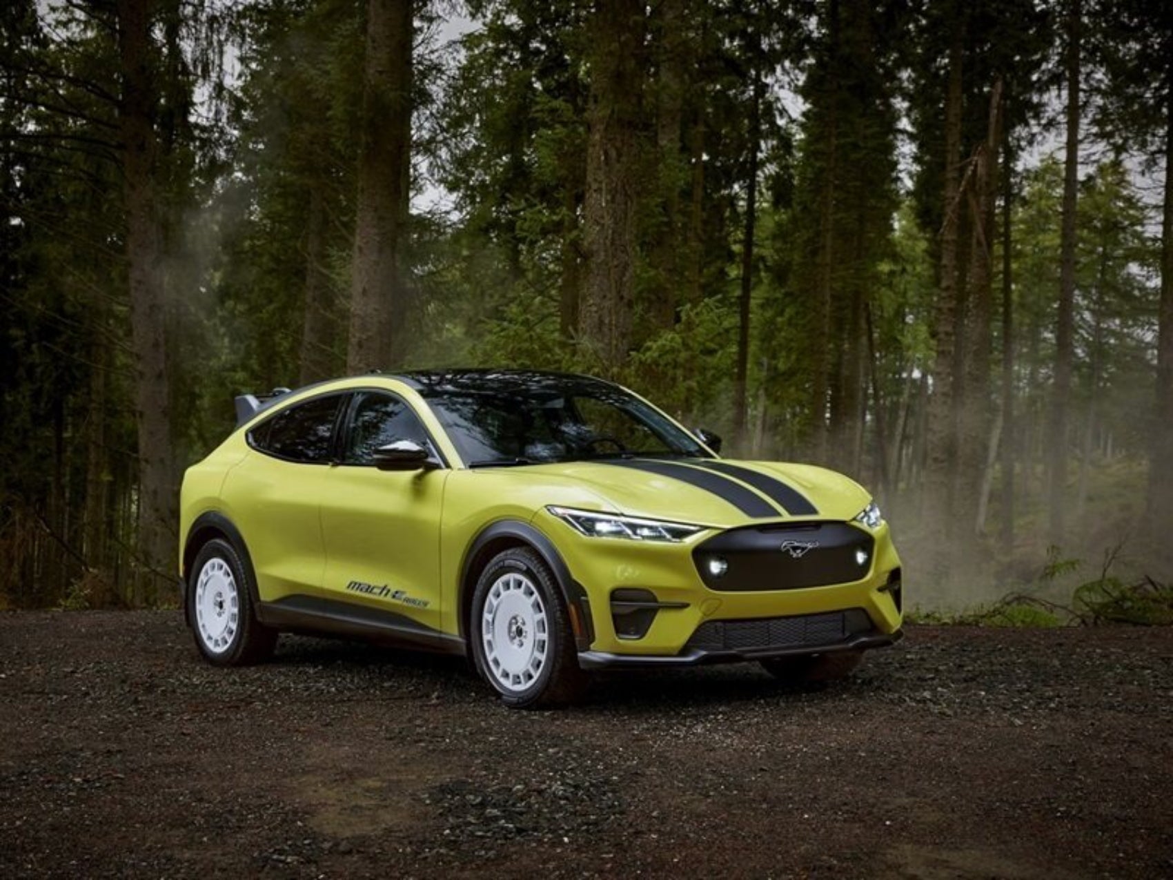 Electric Vehicles East Lansing MI